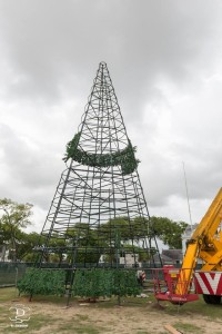 Opbouw van de kerstboom op het Onafhankelijkheidsplein (foto: FB pagina Roeli's Lighting & Decor) 