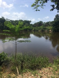 Binnenland van Suriname