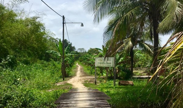 Suriname, Laarwijk, 24 maart 2018 (foto: René Hoeflaak)