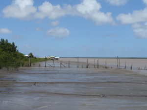 Suriname rivier, 3 februari 2014 (foto: René Hoeflaak)