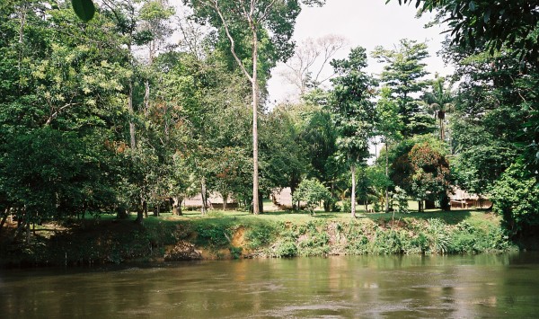 Suiriname, nabij Awarradam , maart 2006 (foto: René Hoeflaak)