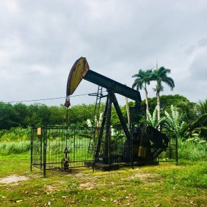 Oliewinning in de buurt van Boskamp, Suriname, 12 maart 2018 (foto: René Hoeflaak).