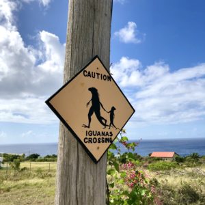 Sint-Eustatius, december 2019 (foto: René Hoeflaak)