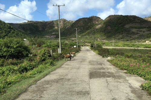 Sint-Eustatius